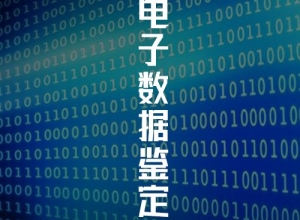 电子数据鉴定